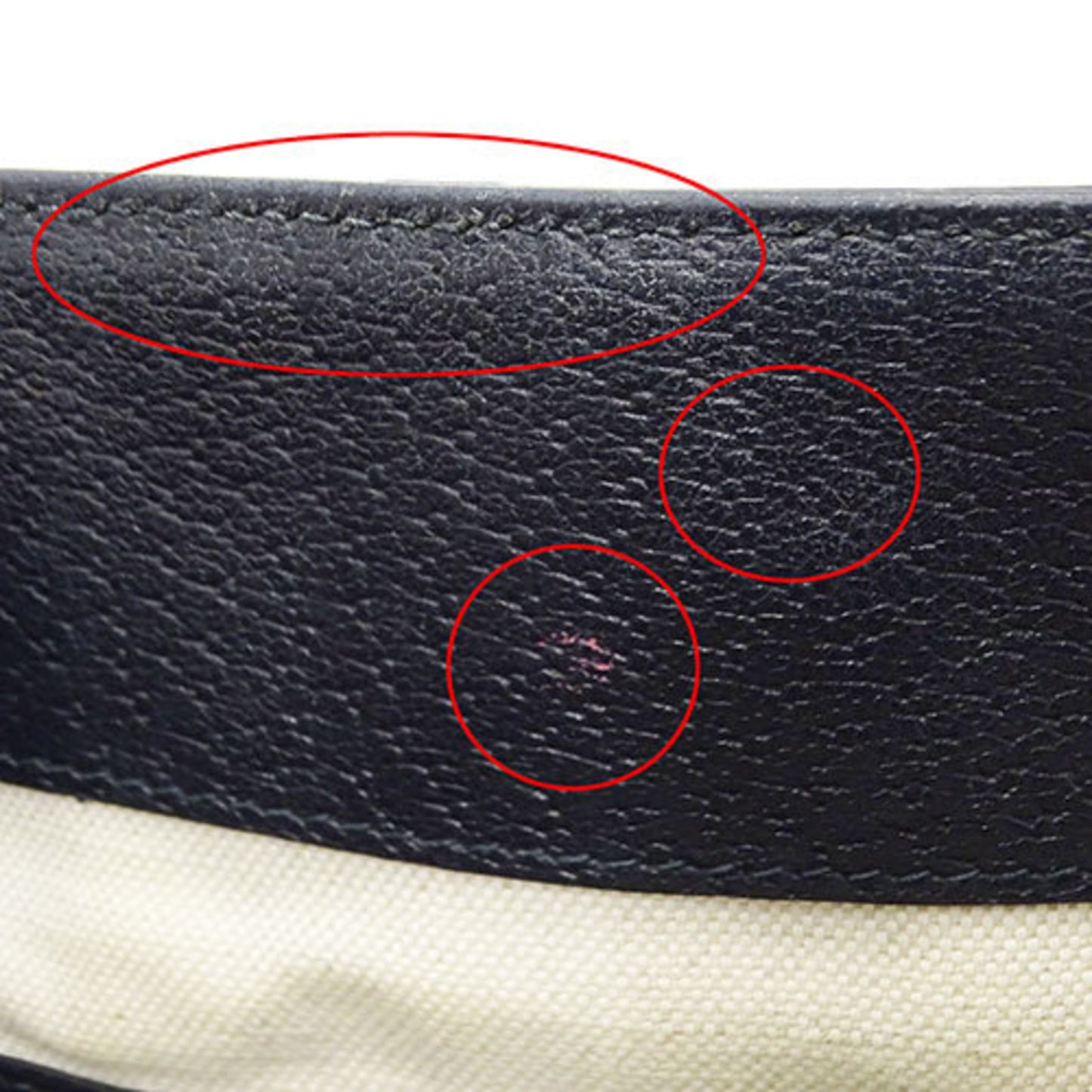 Gucci Brown Canvas Ophidia