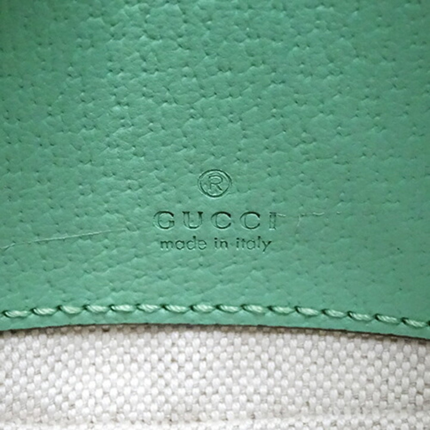 Gucci Green Canvas Ophidia