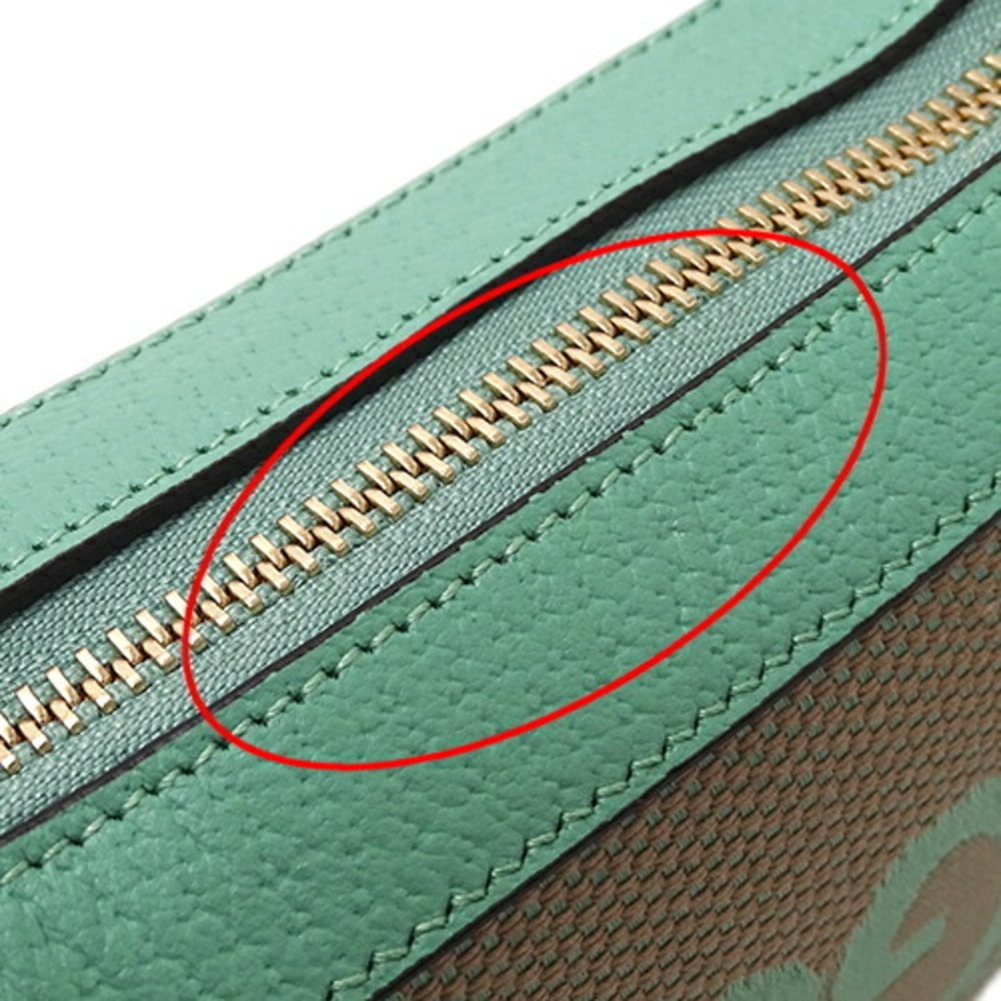 Gucci Green Canvas Ophidia