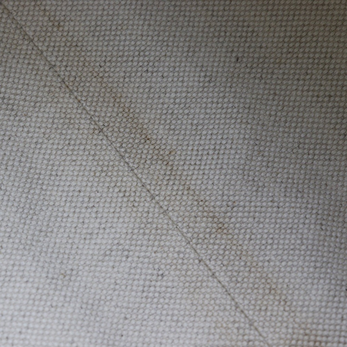 Gucci Brown Canvas Sukey