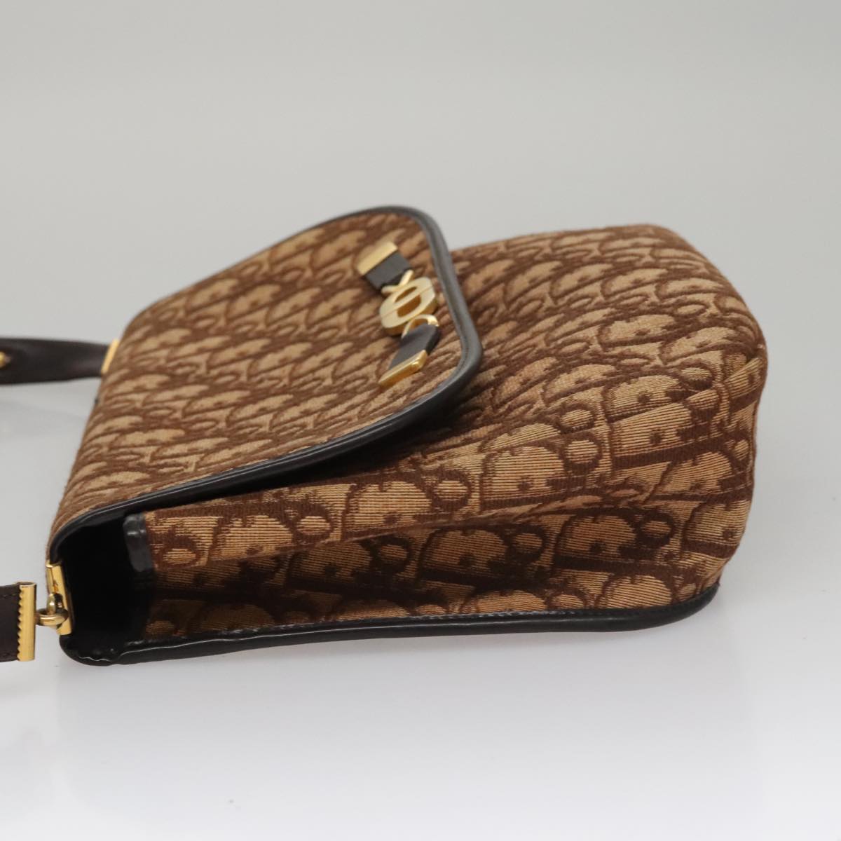 Dior Brown Canvas Trotter