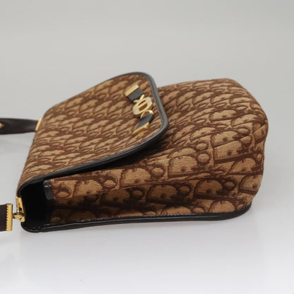 Dior Brown Canvas Trotter