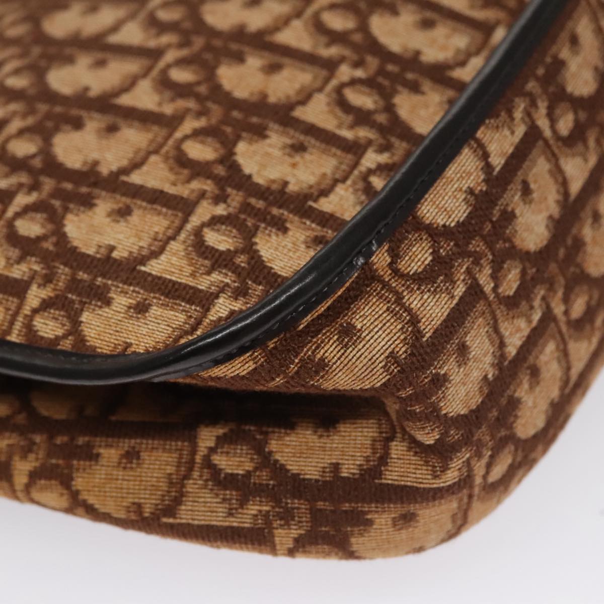 Dior Brown Canvas Trotter