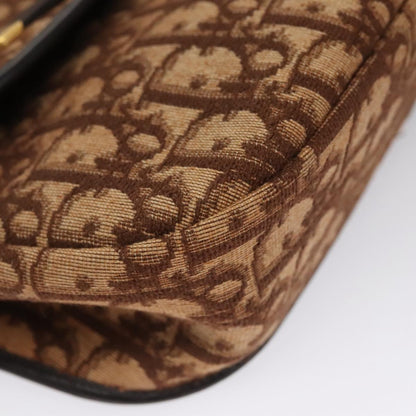 Dior Brown Canvas Trotter