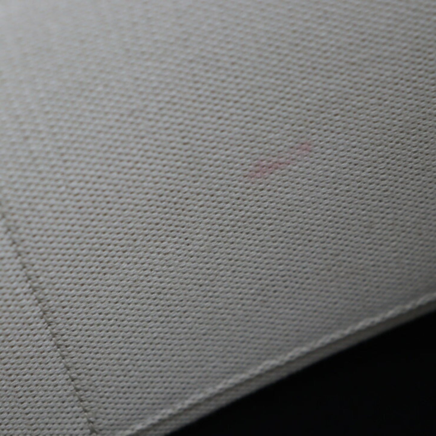 Valentino Garavani White Canvas Vltn