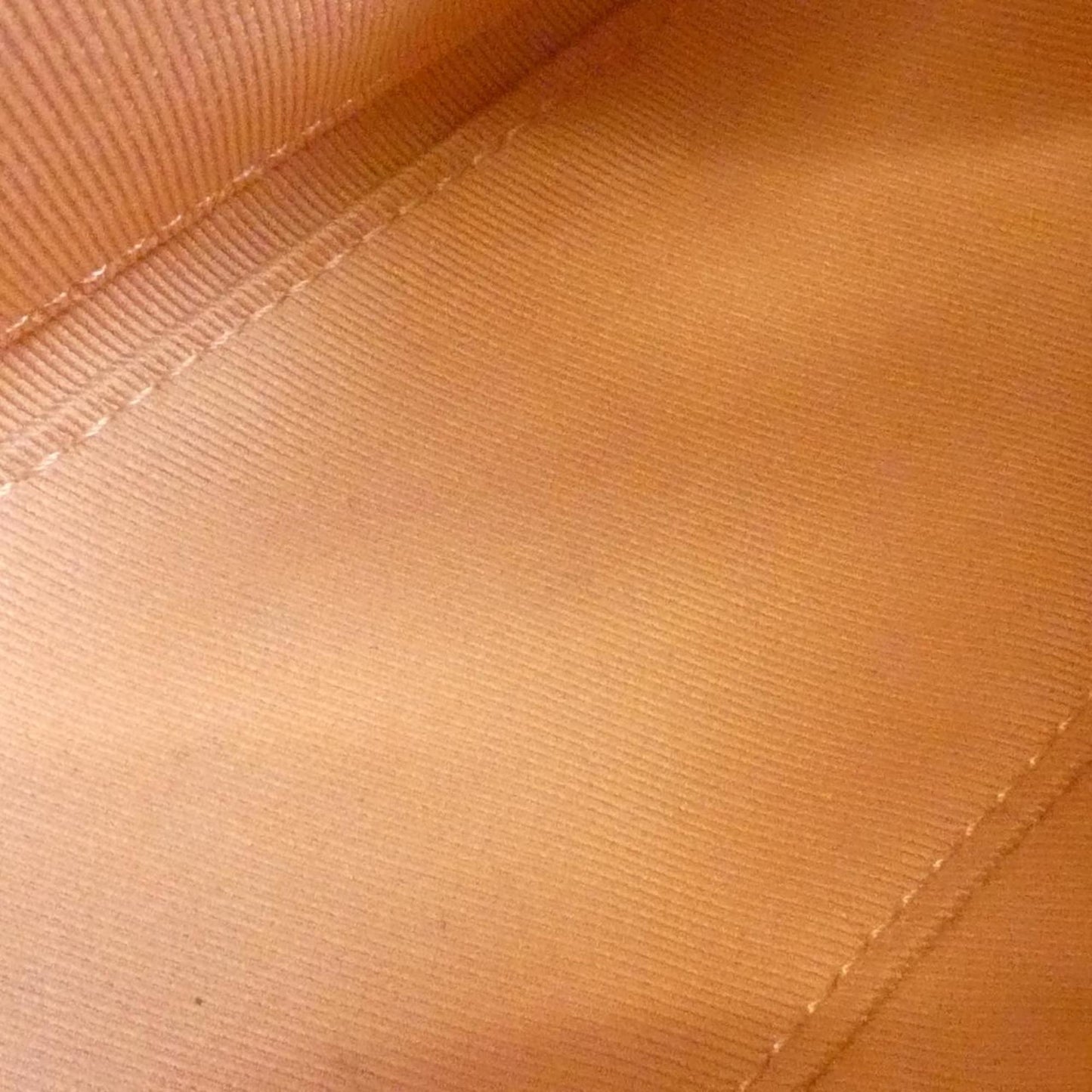 Louis Vuitton Brown Canvas Santa Monica