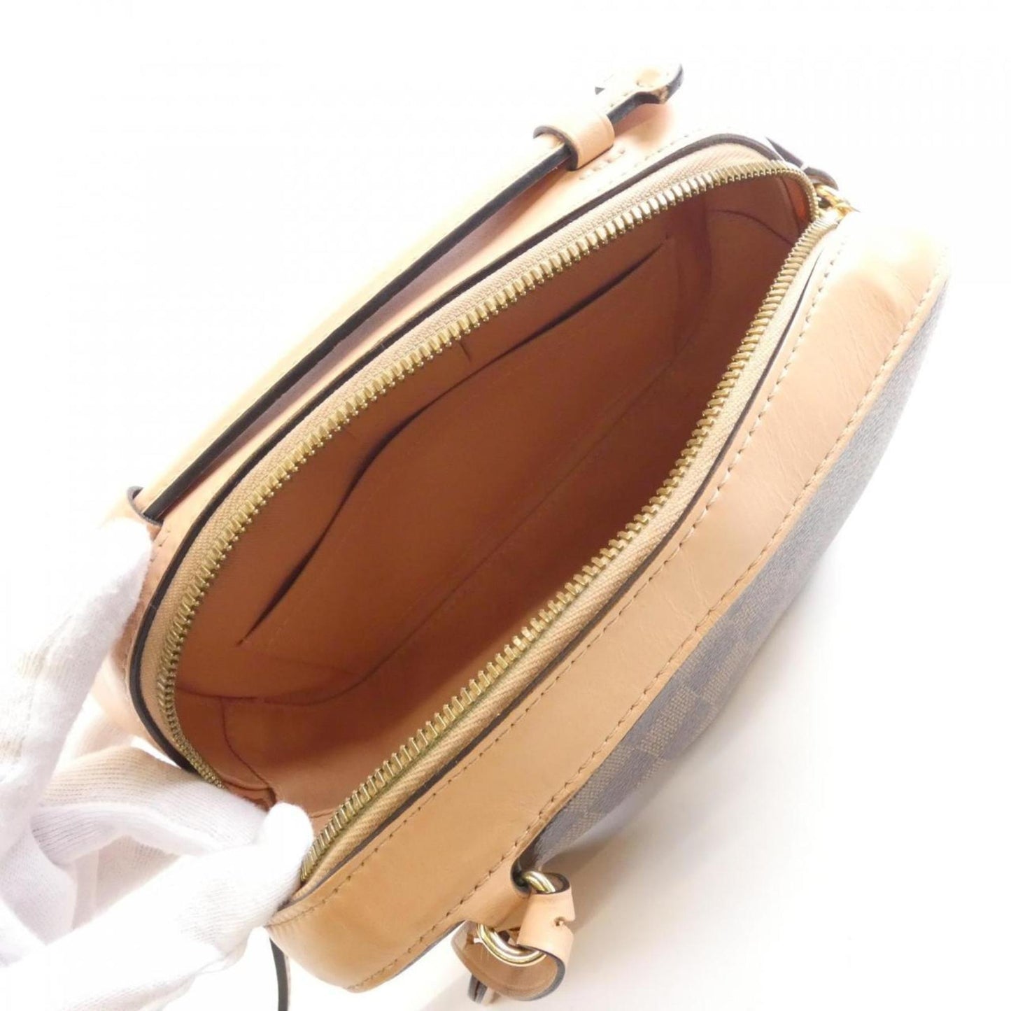 Louis Vuitton Brown Canvas Santa Monica