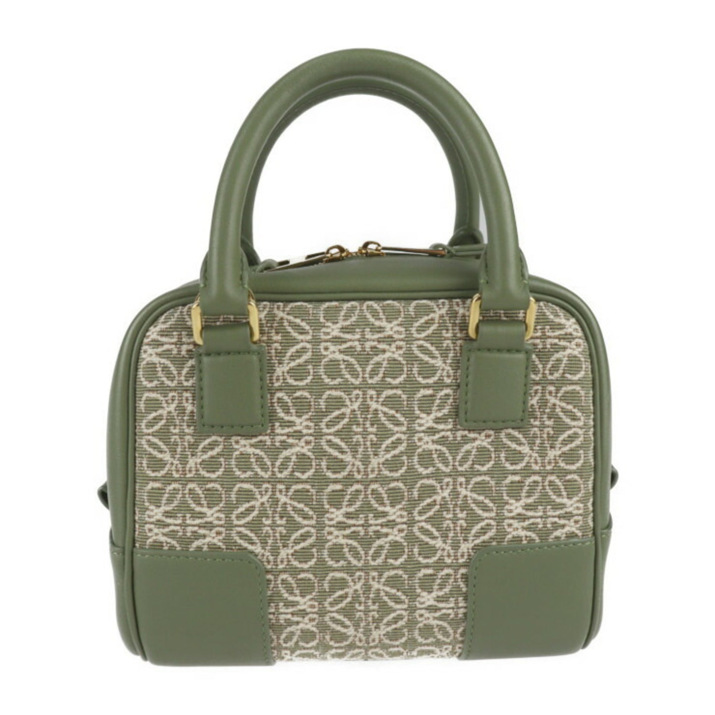 Loewe Green Leather Amazona