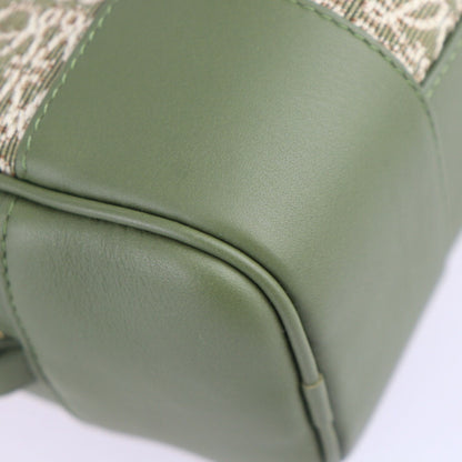Loewe Green Leather Amazona