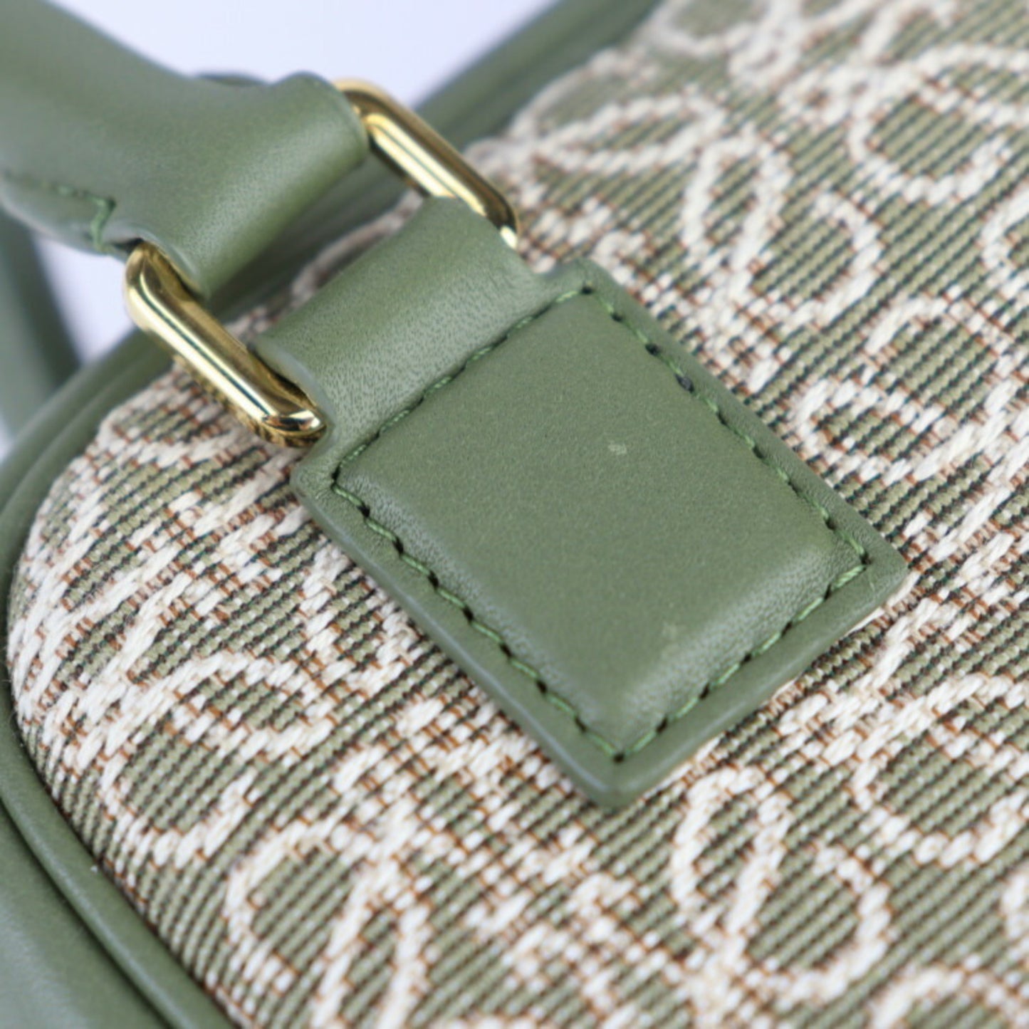 Loewe Green Leather Amazona