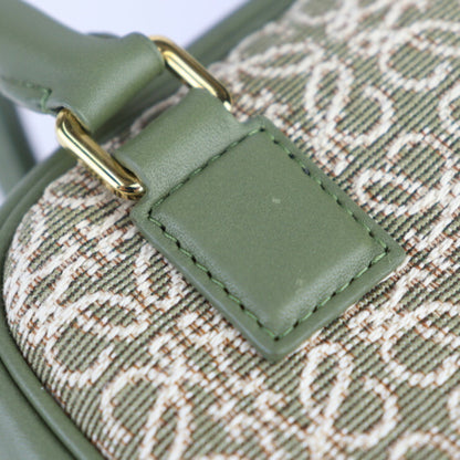 Loewe Green Leather Amazona