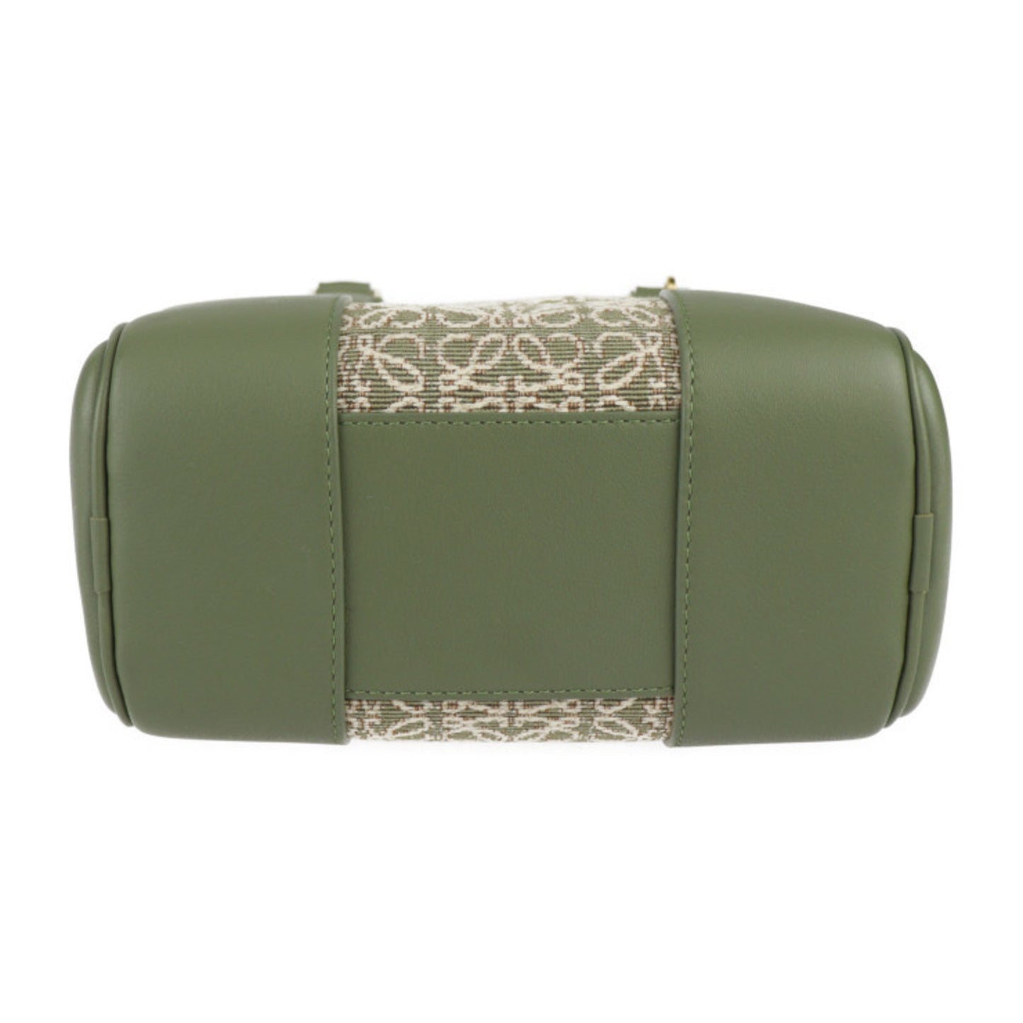 Loewe Green Leather Amazona