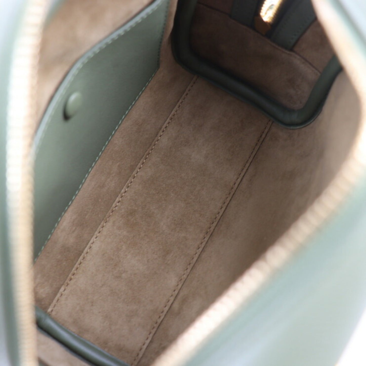 Loewe Green Leather Amazona