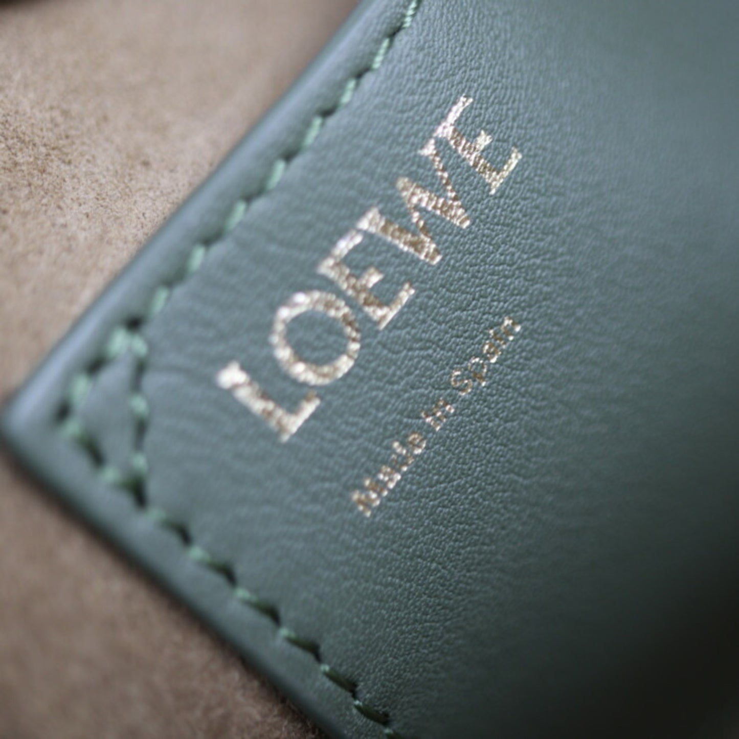 Loewe Green Leather Amazona