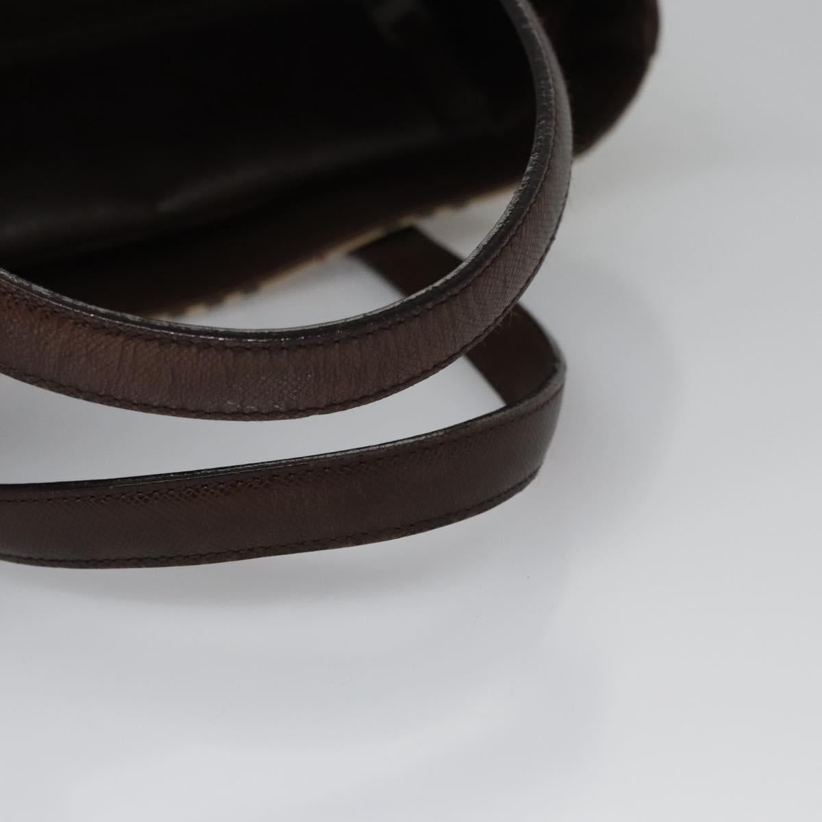 Burberry Brown Canvas House Check