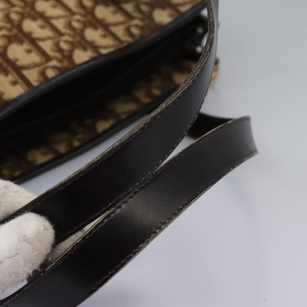 Dior Brown Canvas Trotter