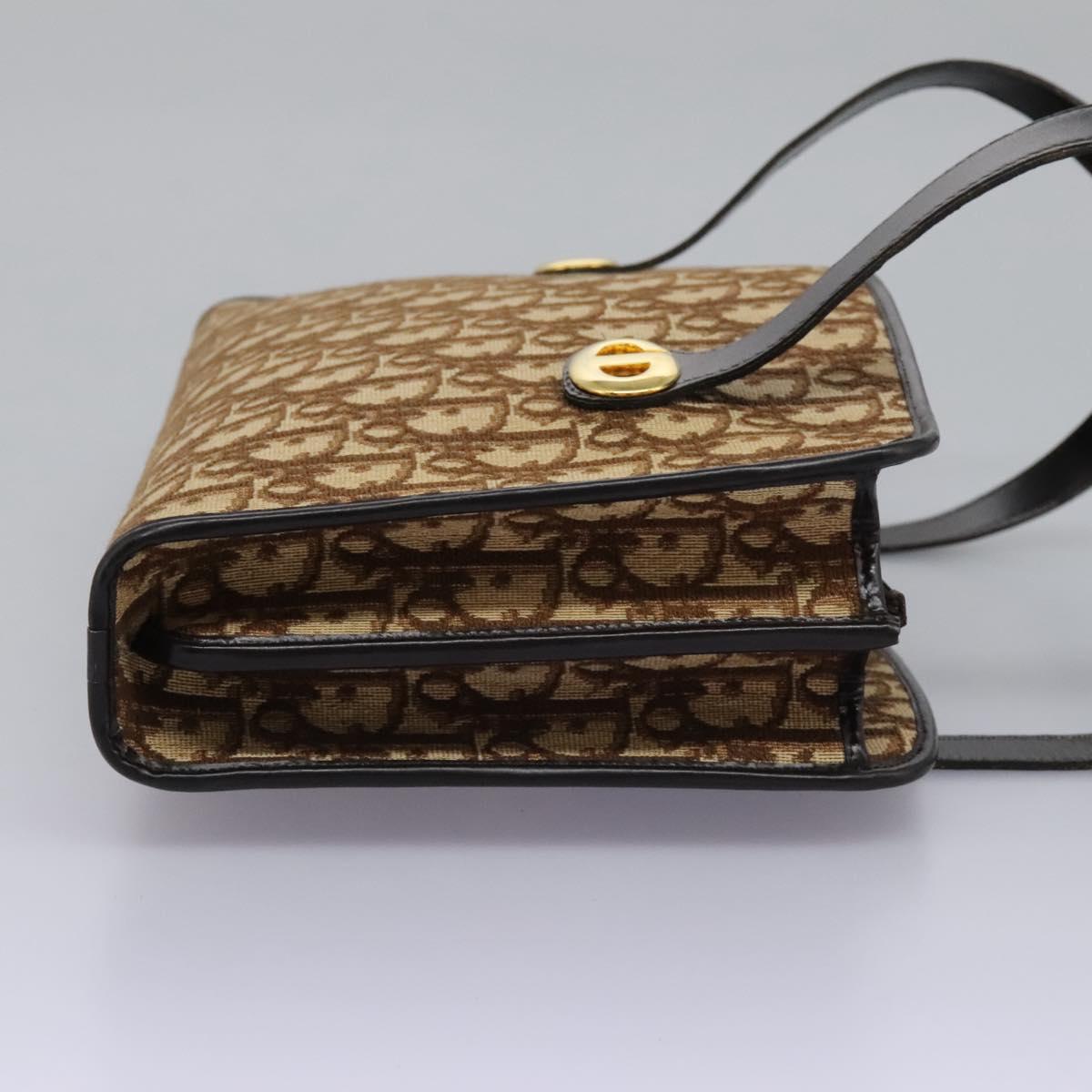Dior Brown Canvas Trotter