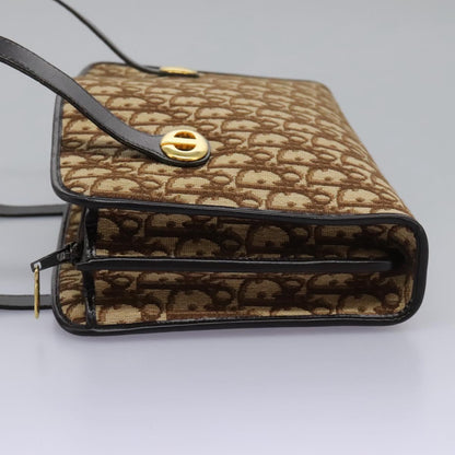 Dior Brown Canvas Trotter