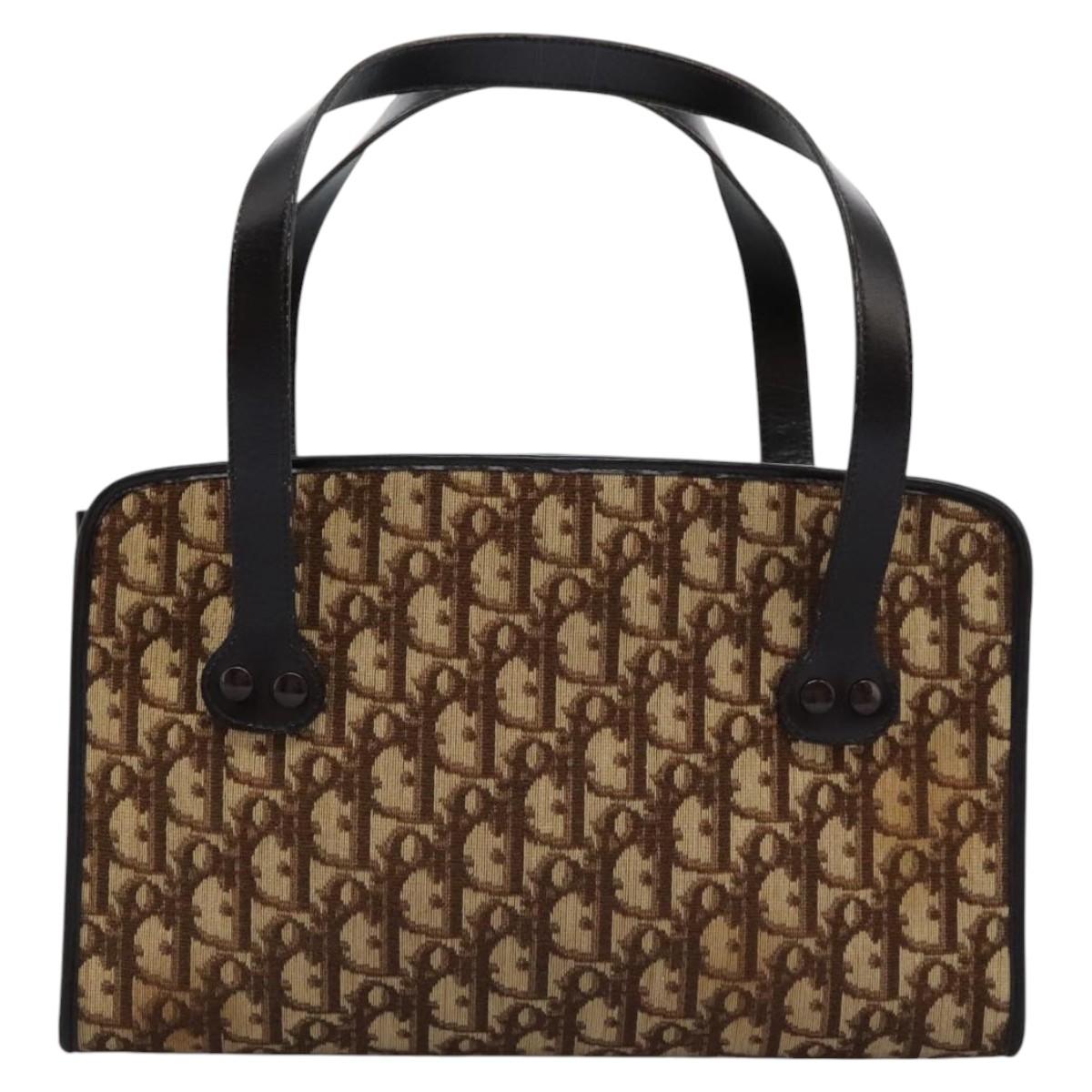 Dior Brown Canvas Trotter