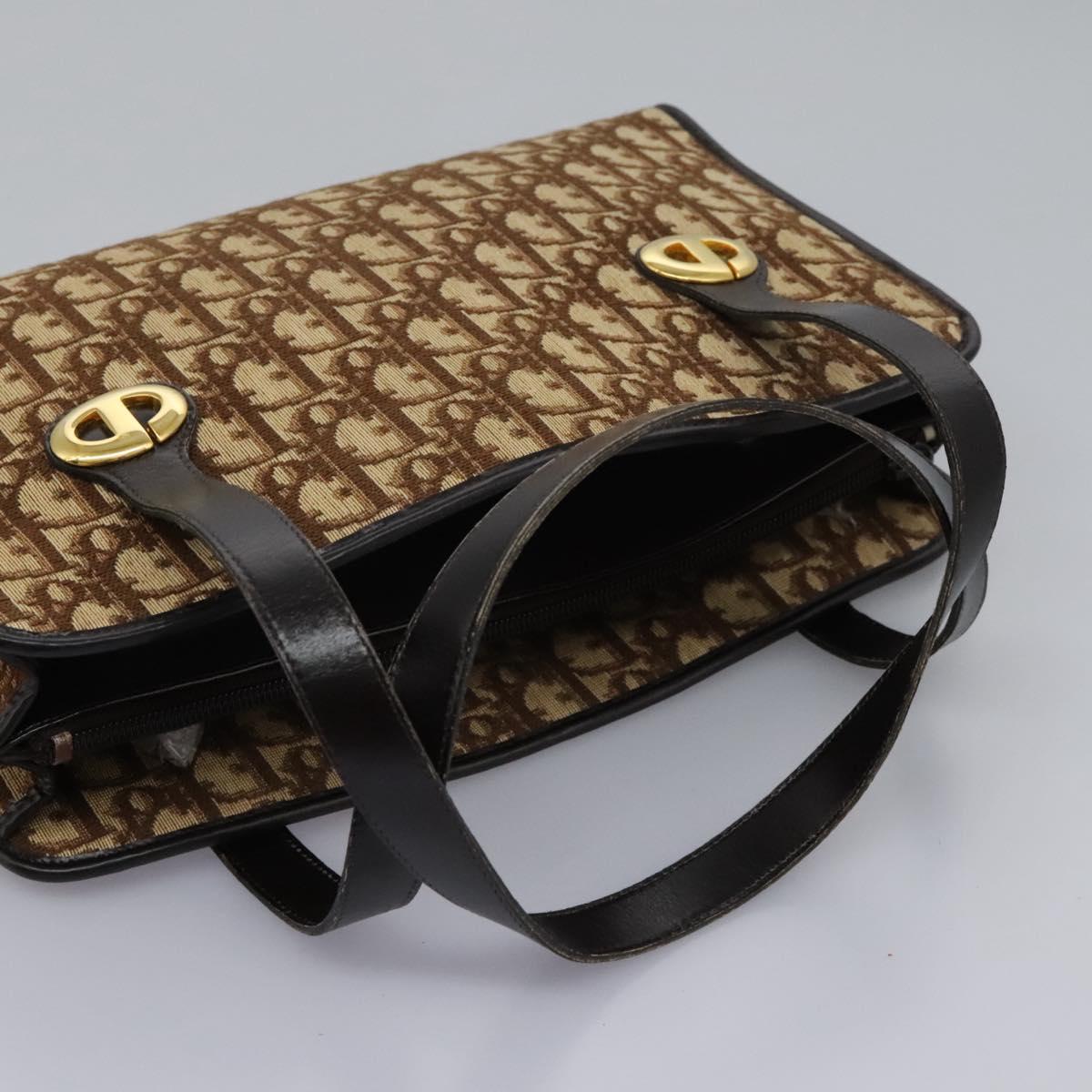 Dior Brown Canvas Trotter
