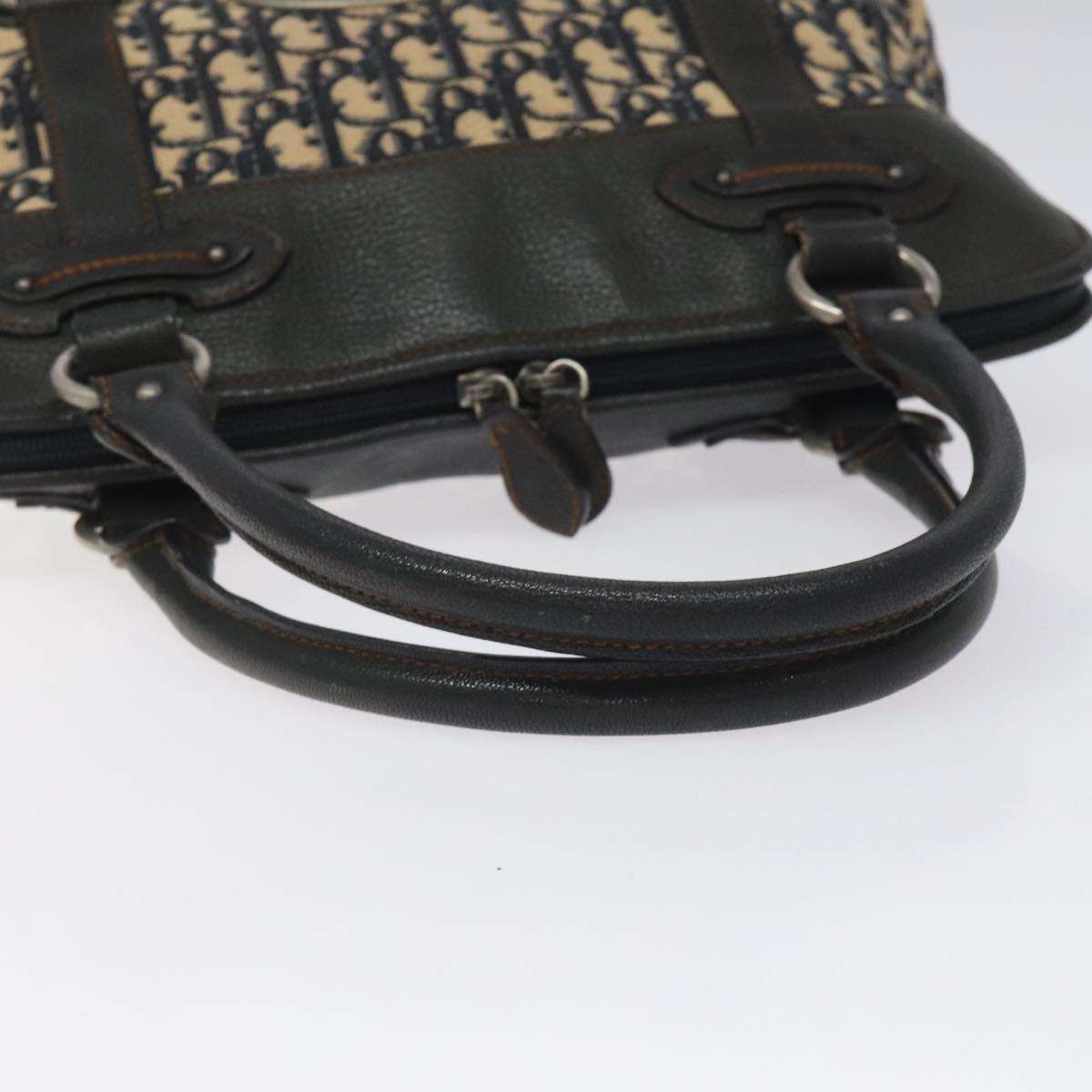 Dior Blue Canvas Trotter