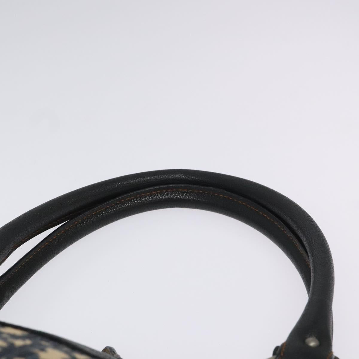 Dior Blue Canvas Trotter
