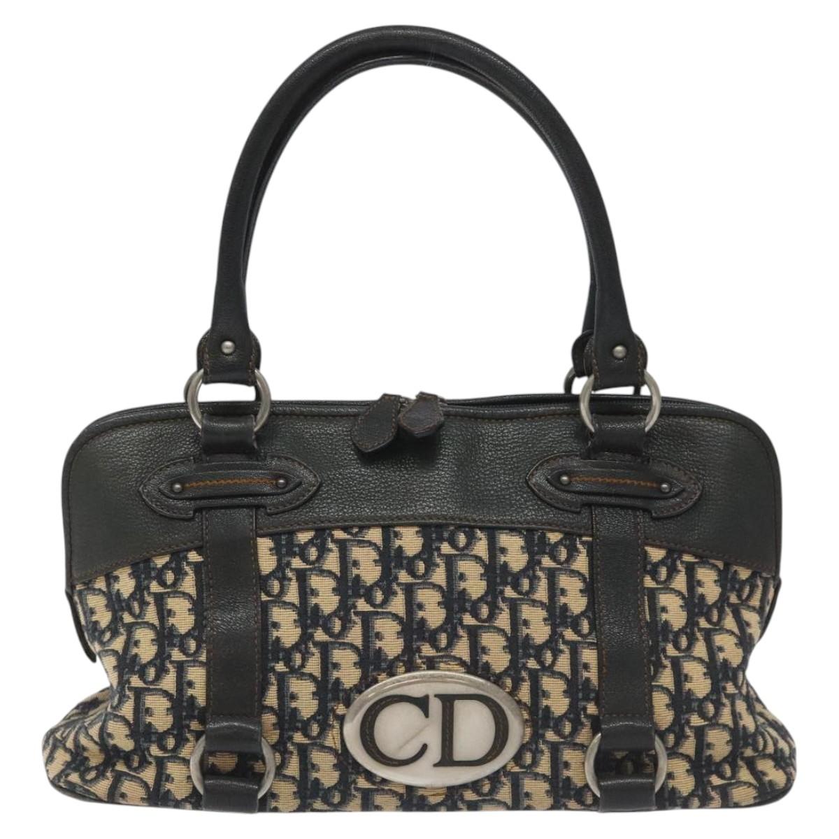 Dior Blue Canvas Trotter