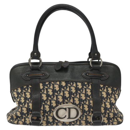 Dior Blue Canvas Trotter
