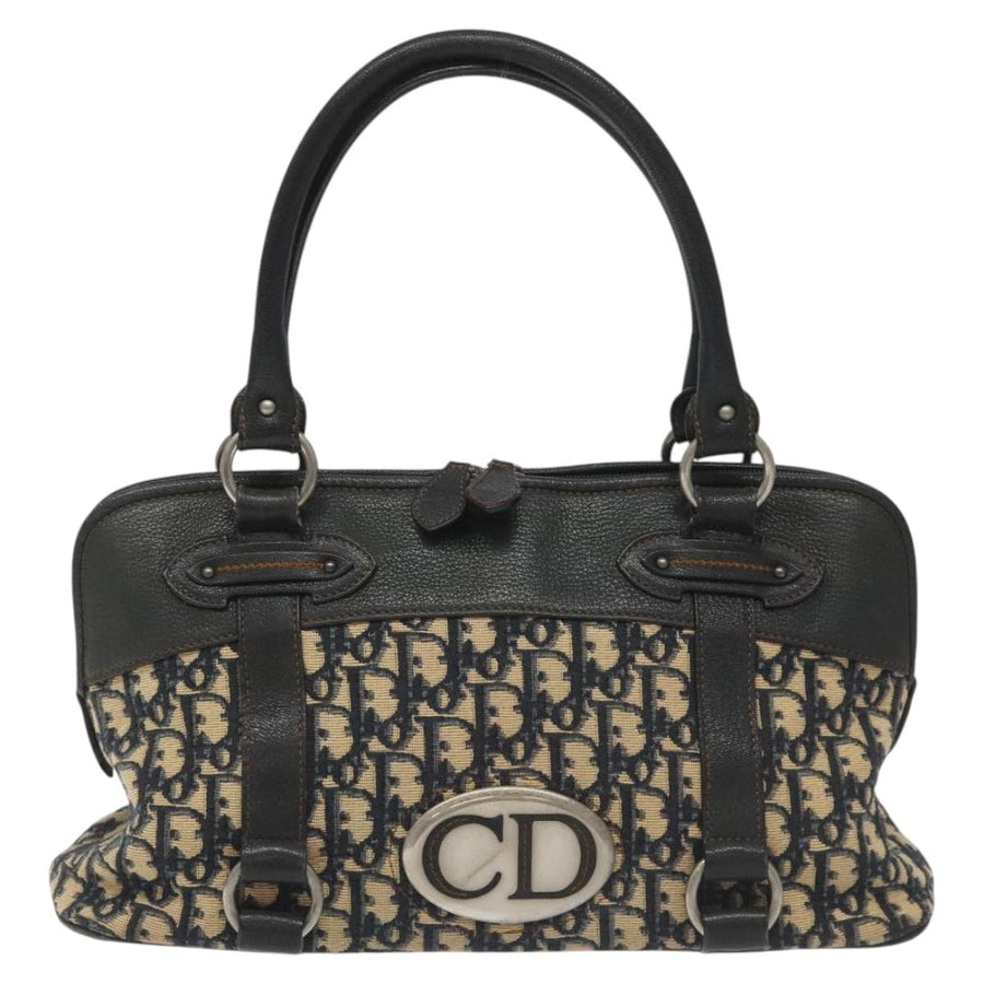 Dior Blue Canvas Trotter