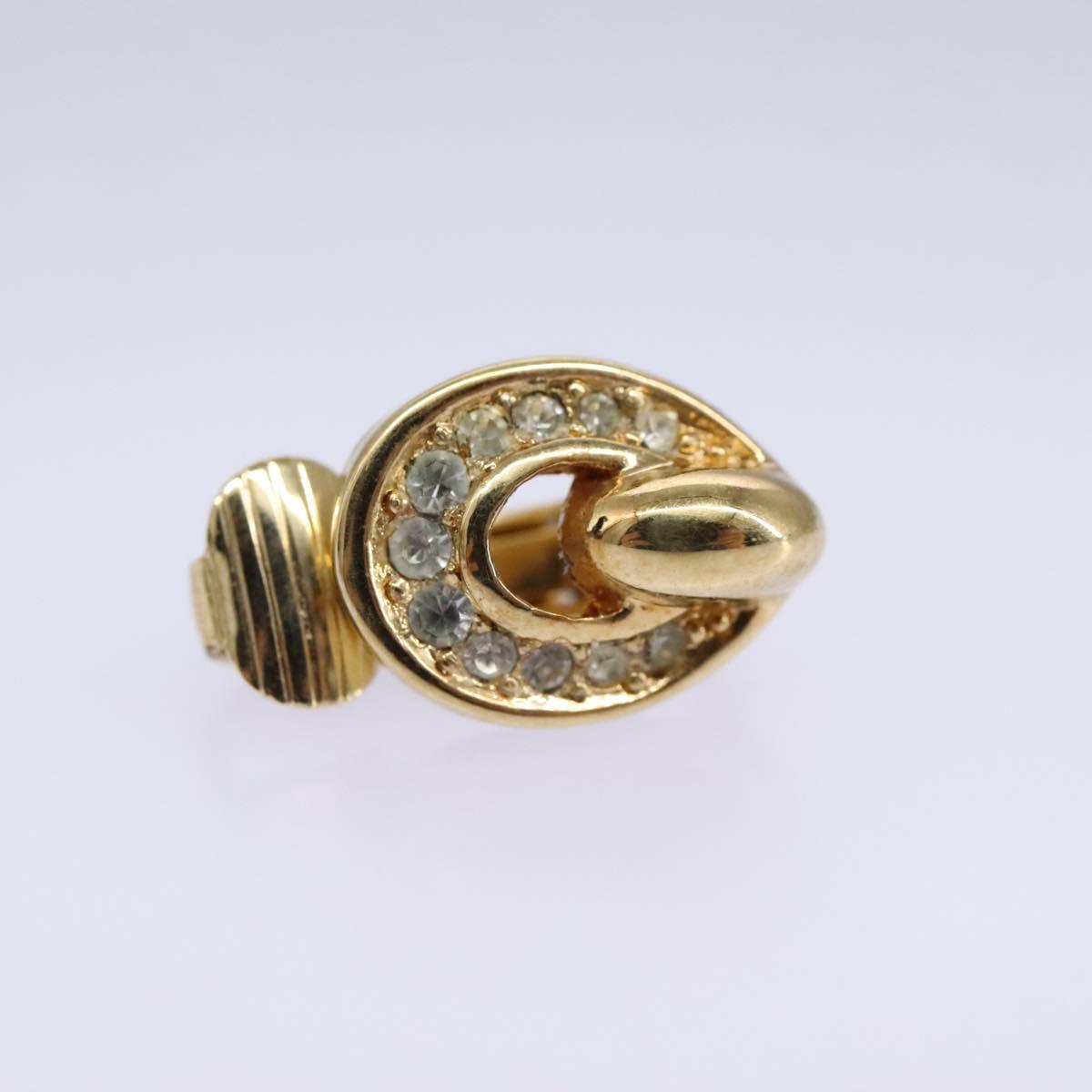 Dior Gold Metal Rose Des Vents
