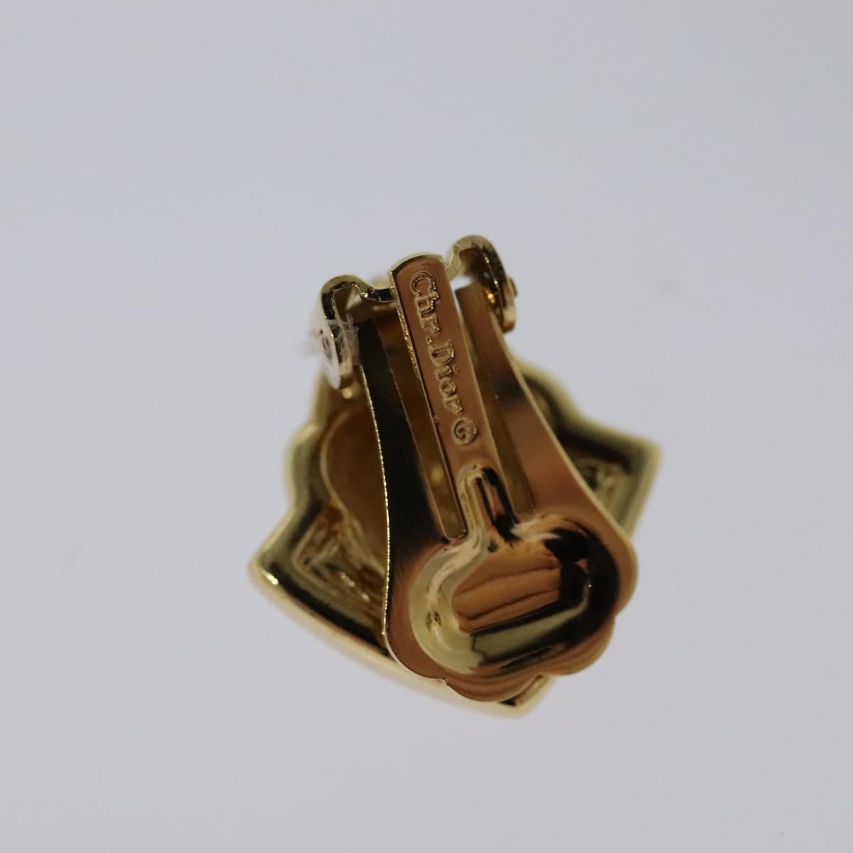 Dior Gold Metal Earring