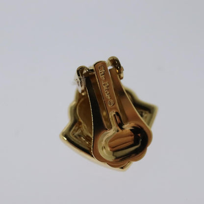 Dior Gold Metal Earring