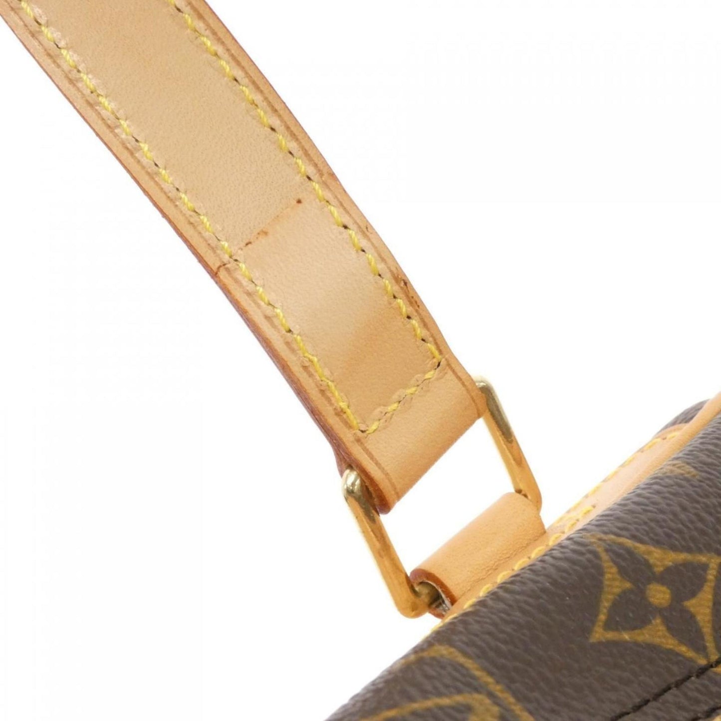 Louis Vuitton Brown Canvas Excursion