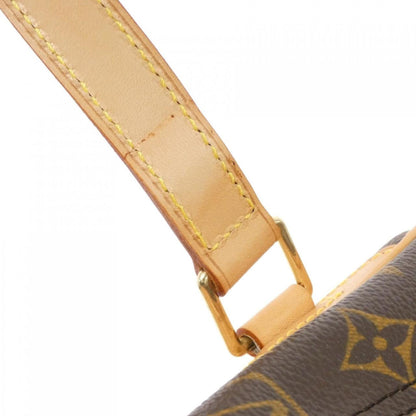 Louis Vuitton Brown Canvas Excursion