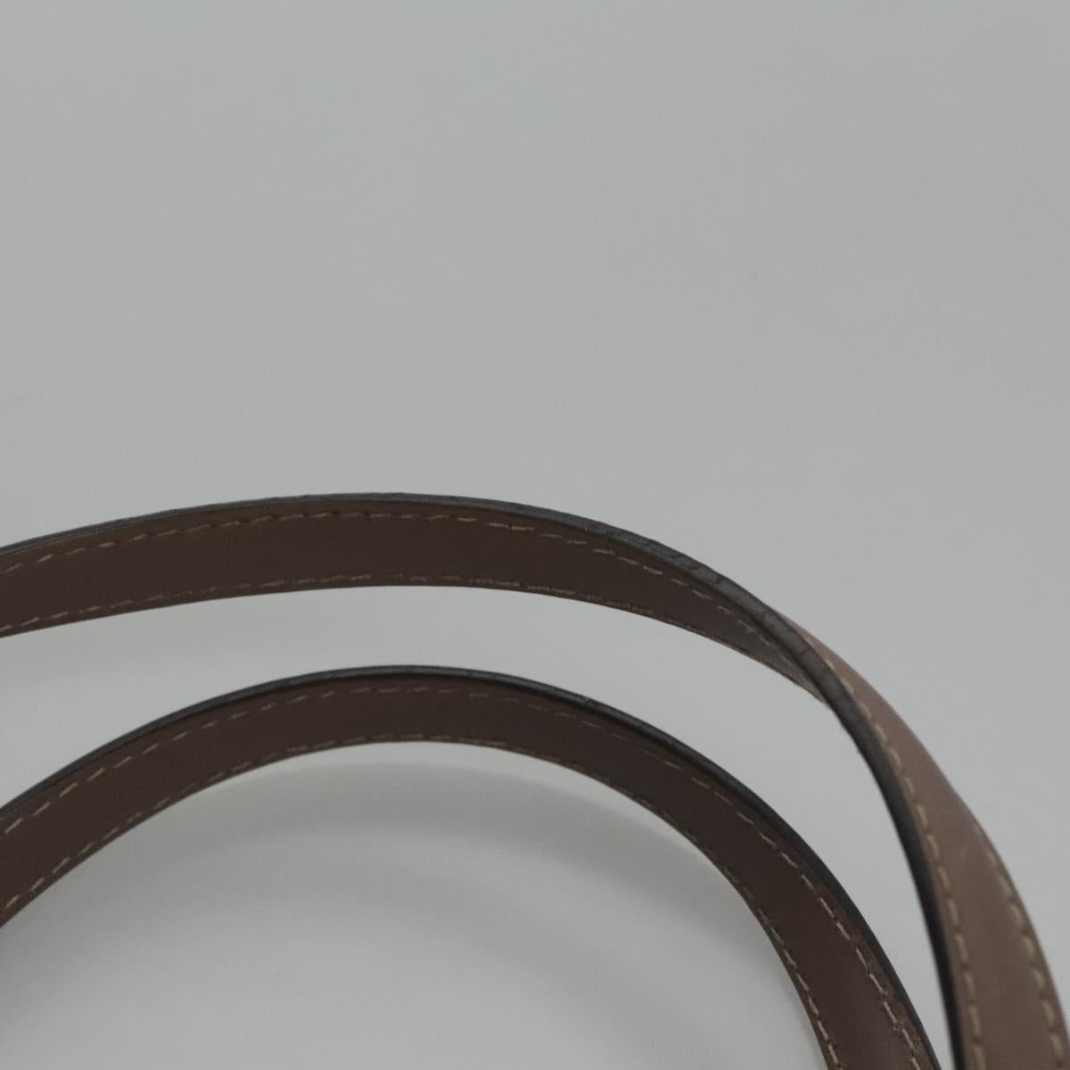 Gucci Brown Canvas Gg Canvas