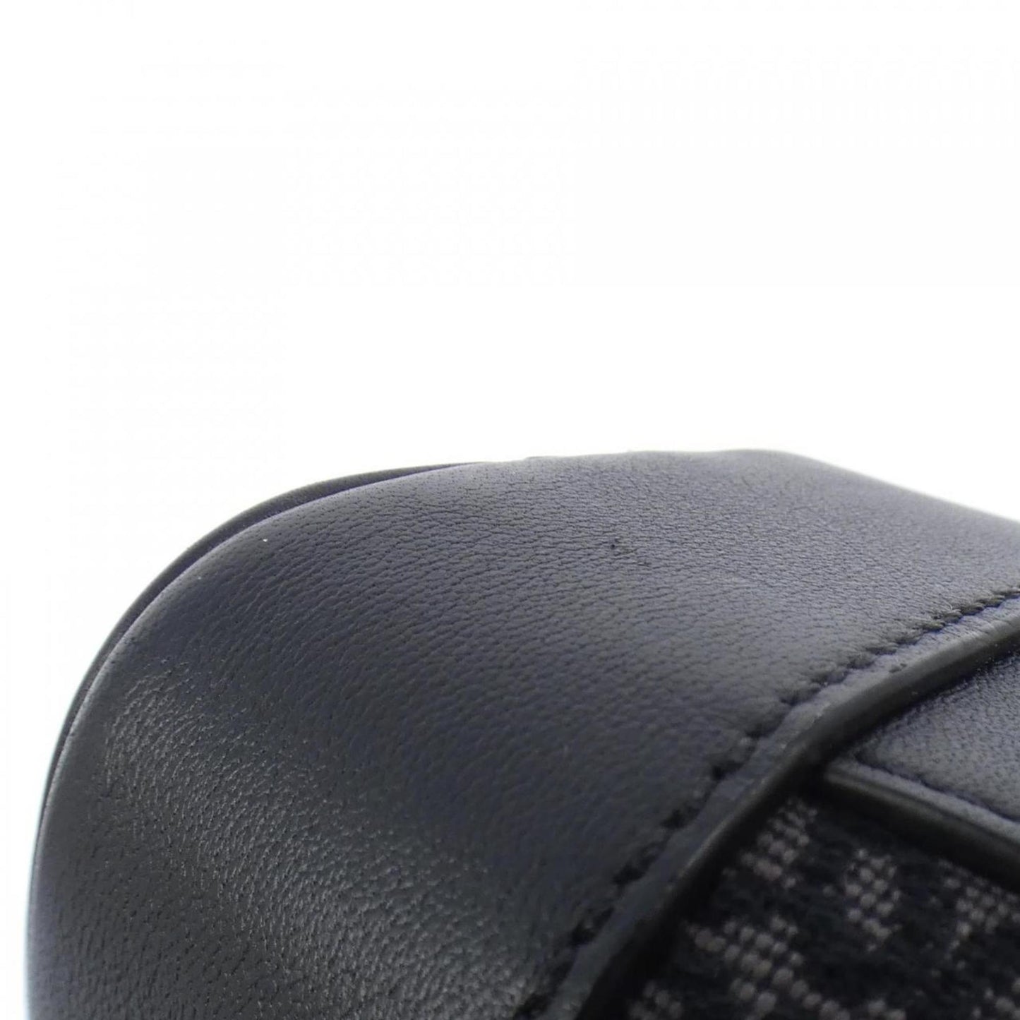 Loewe Black Canvas Amazona