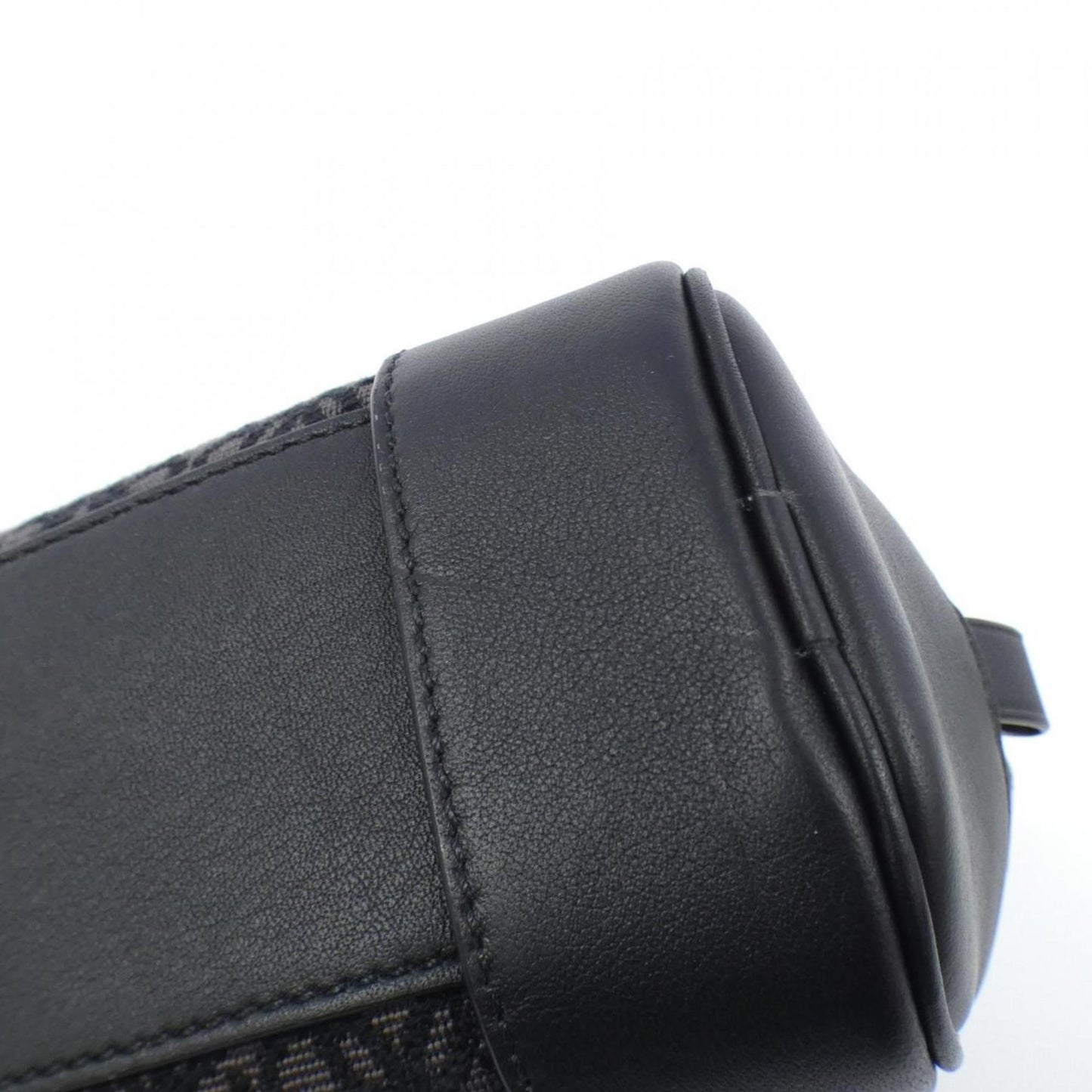 Loewe Black Canvas Amazona