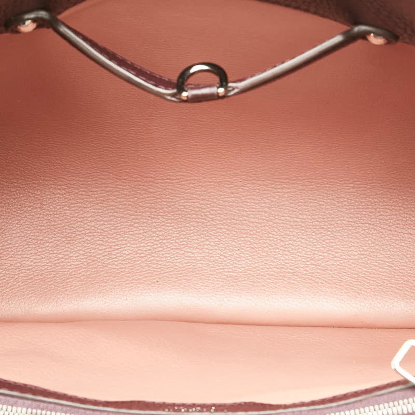 Louis Vuitton Purple Leather Capucines