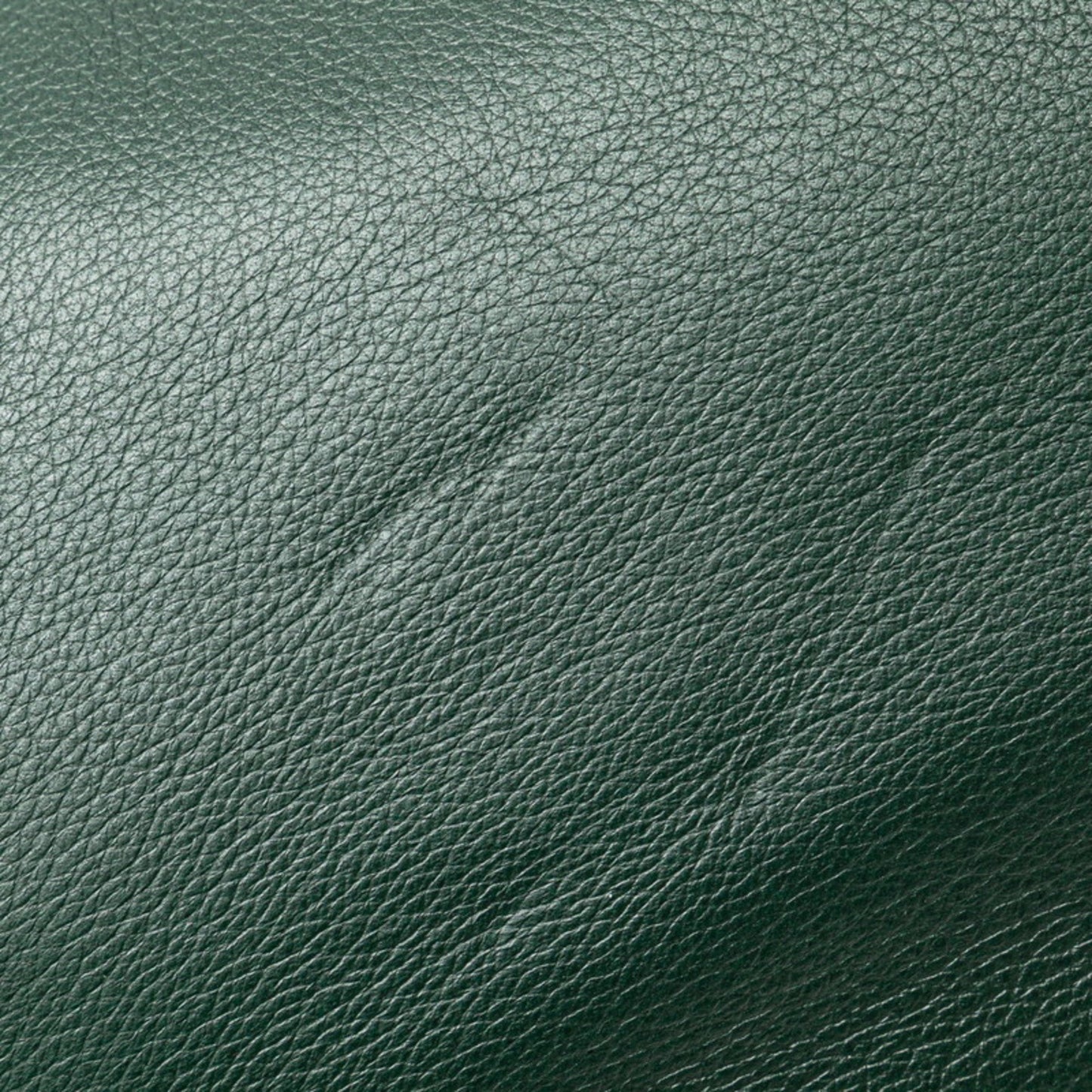 Gucci Green Leather Ophidia