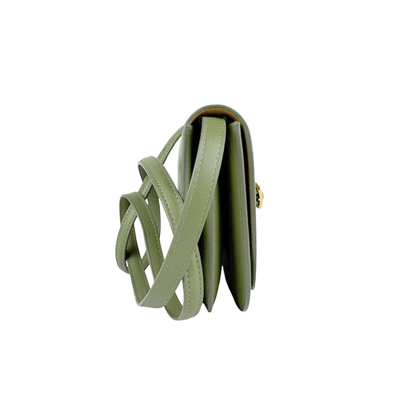 Loewe Brown Leather Goya