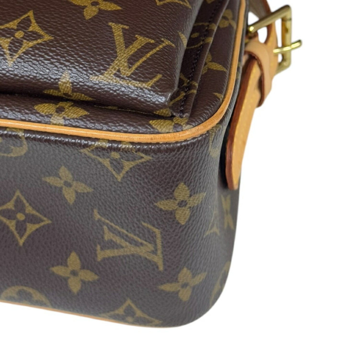 Louis Vuitton Brown Canvas Viva Cité