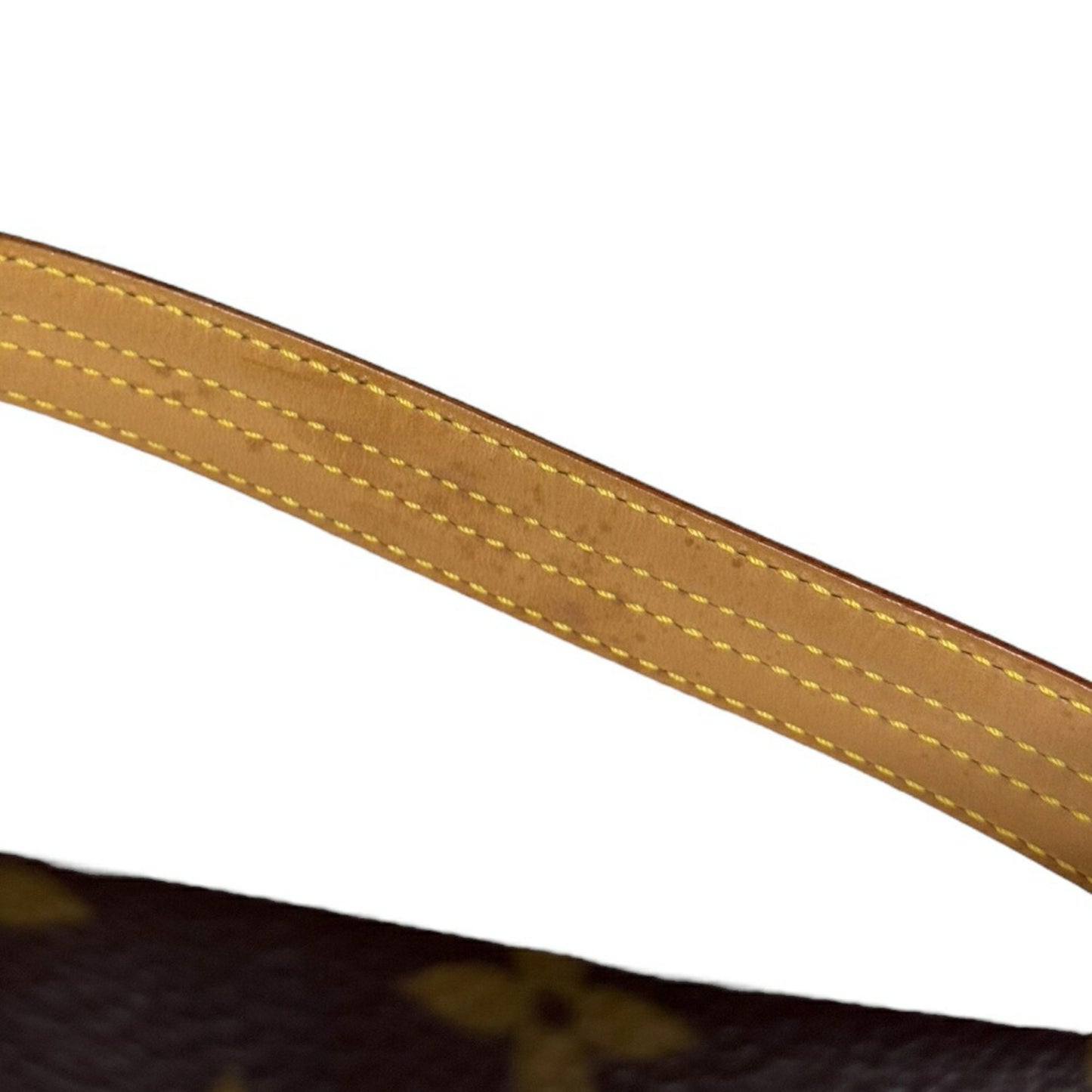Louis Vuitton Brown Canvas Viva Cité