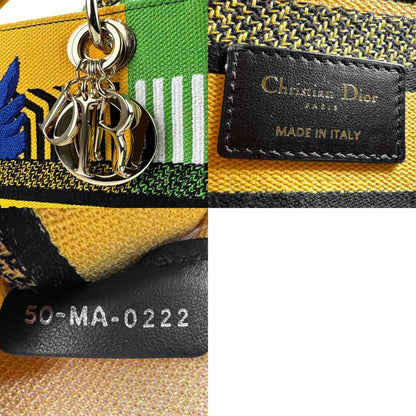 Dior Multi Canvas Lady Dior
