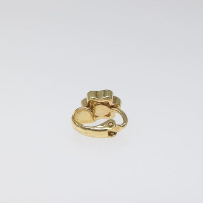 Dior Gold Metal Earring
