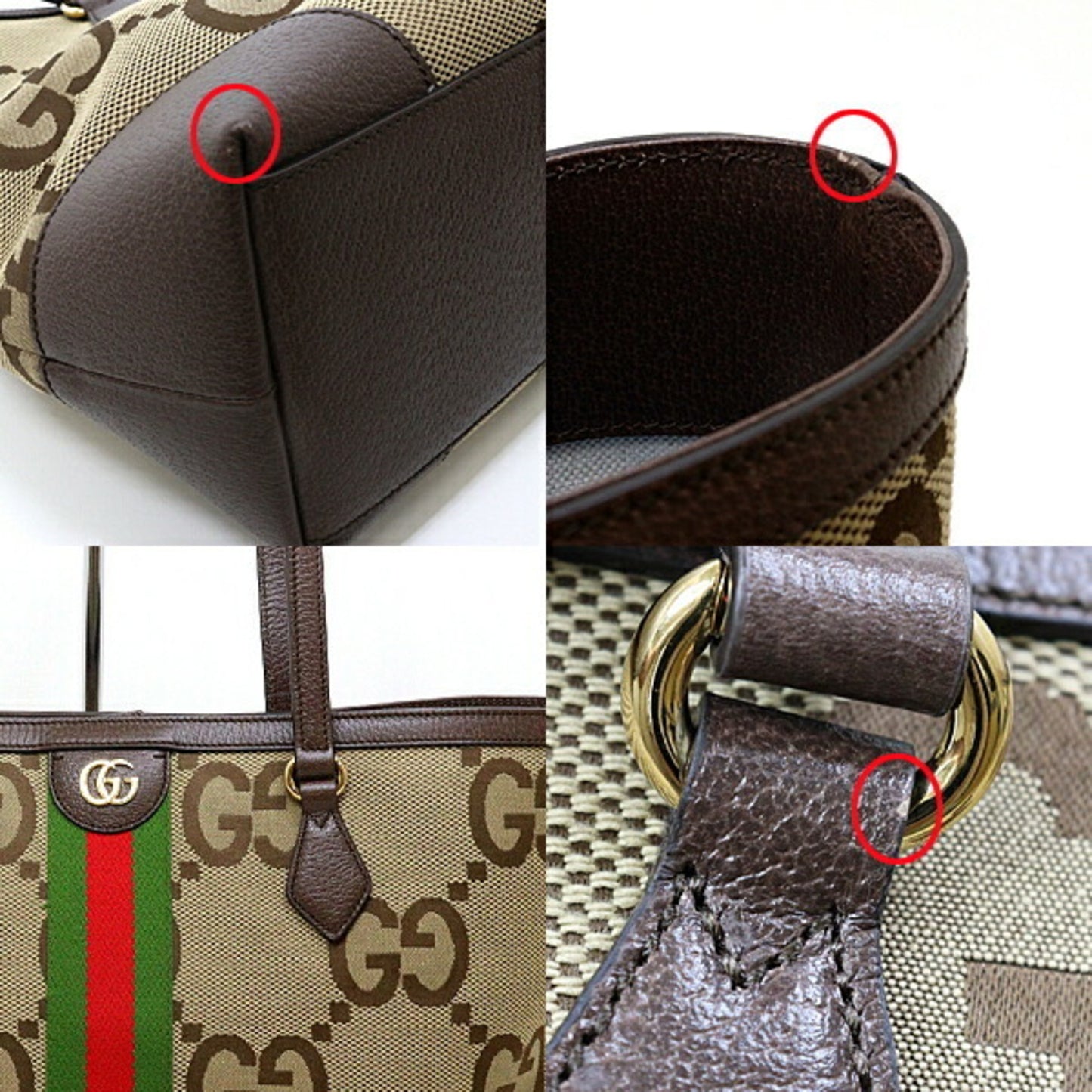 Gucci Brown Canvas Ophidia