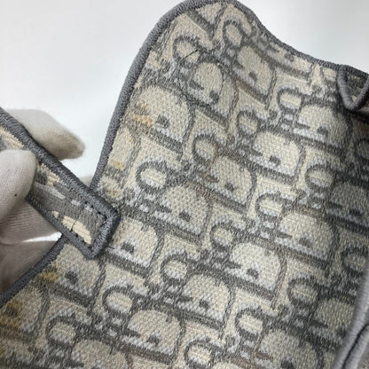 Dior Gray Canvas Saddle Dior Oblique