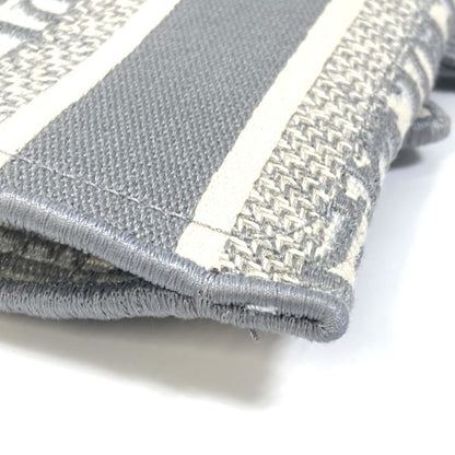Dior Gray Canvas Saddle Dior Oblique