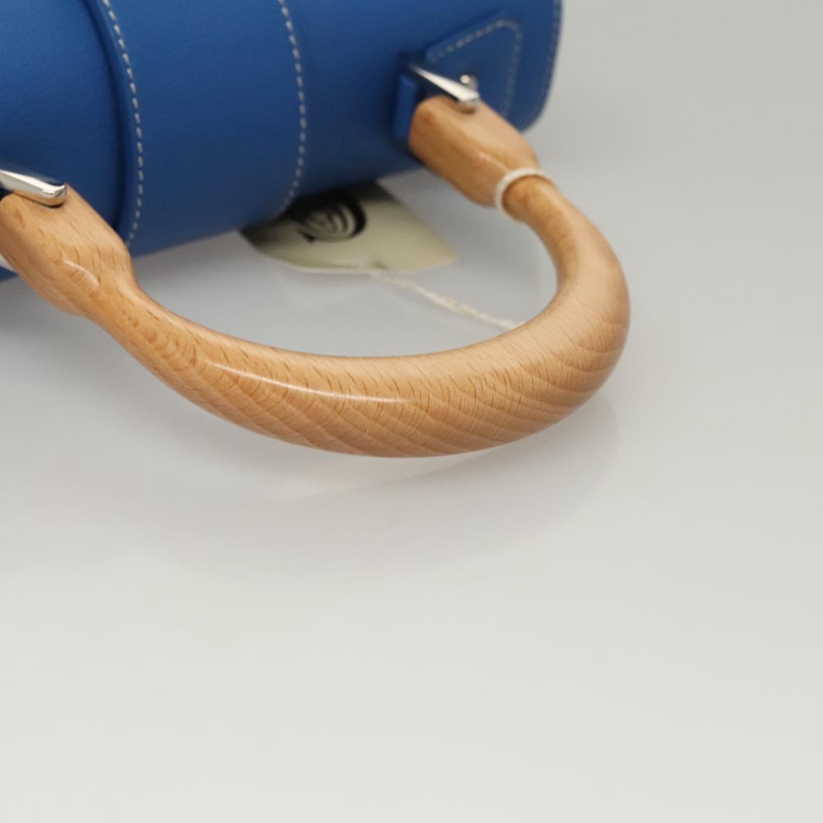 Goyard Blue Canvas Saigon