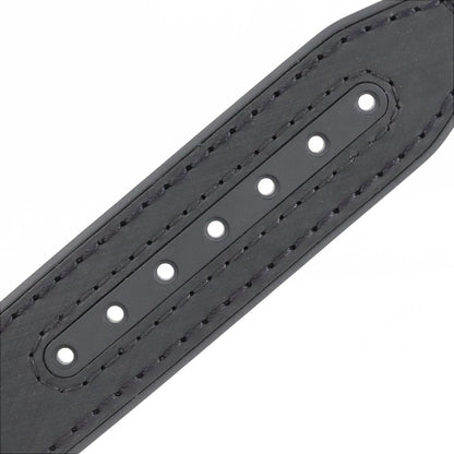 Omega Silver Rubber Constellation
