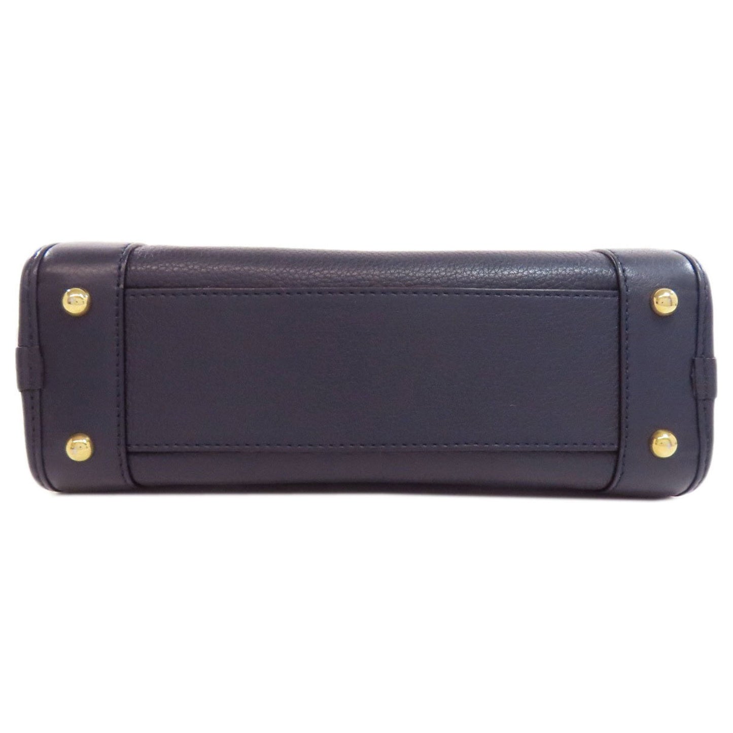 Loewe Blue Leather Amazona